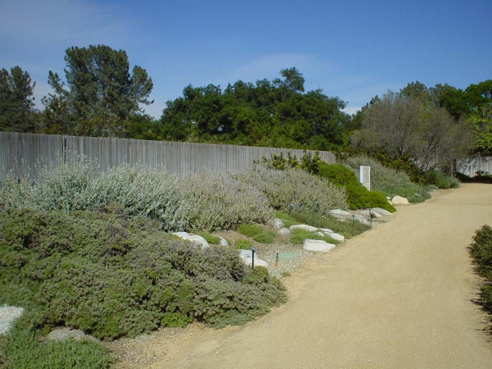 Rancho Santa Ana DG Path